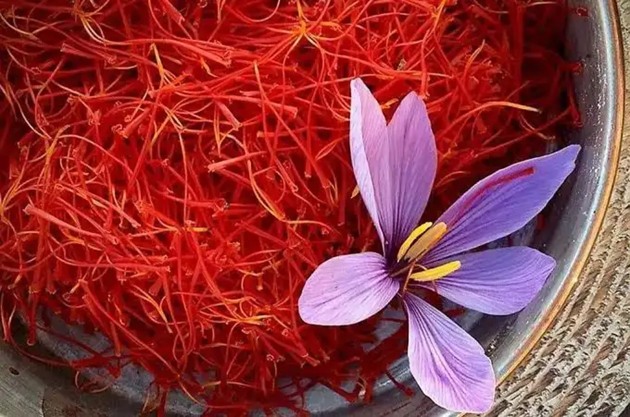 زعفران